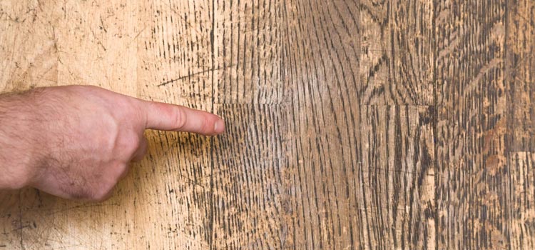 Wood Door Scratch Repair in Isla Vista